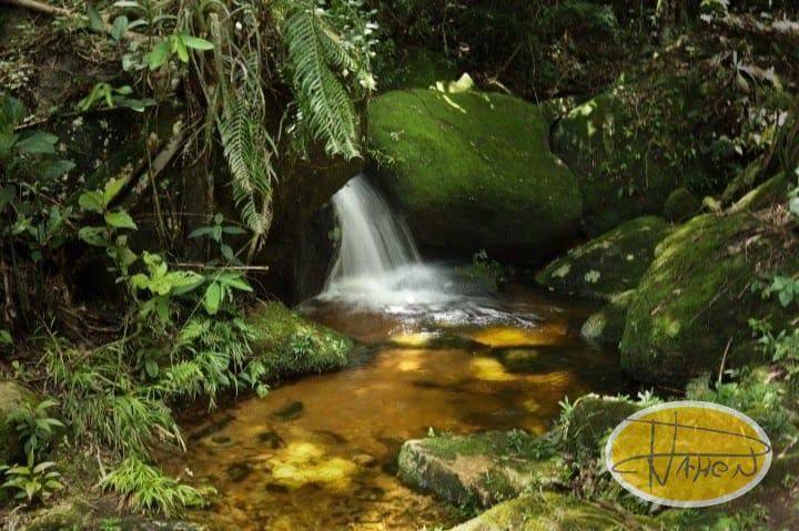 Casa à venda em Vale das Videiras, Petrópolis - RJ - Foto 16