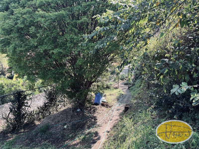 Casa à venda em Araras, Petrópolis - RJ - Foto 31