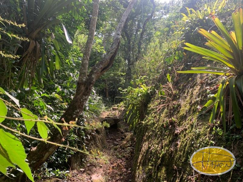 Casa à venda em Araras, Petrópolis - RJ - Foto 21