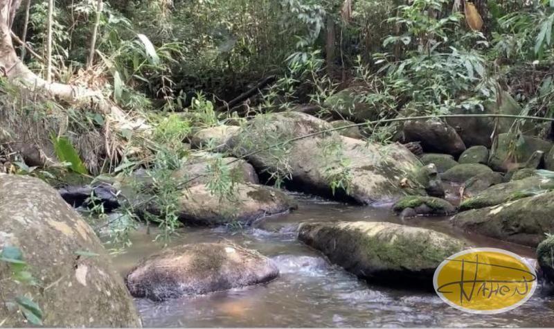 Terreno Residencial à venda em Vale das Videiras, Petrópolis - RJ - Foto 5