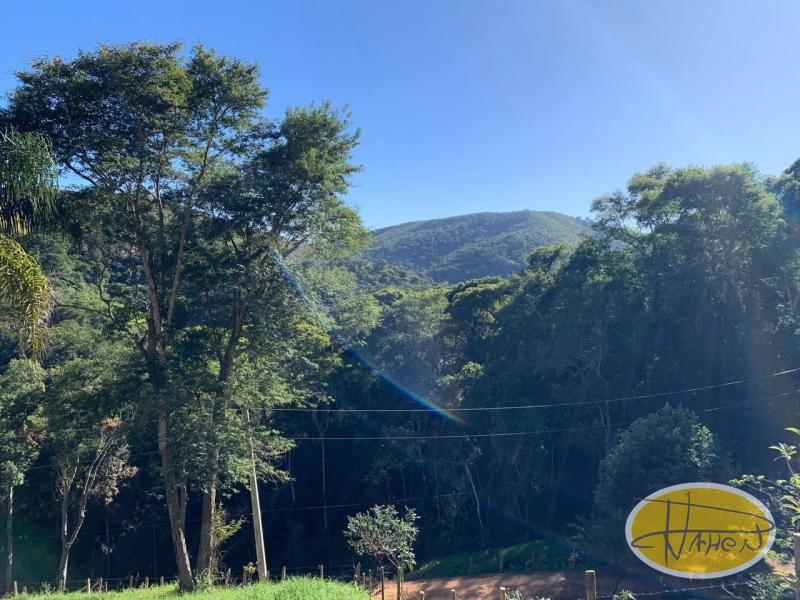 Casa à venda em Vale das Videiras, Petrópolis - RJ - Foto 4