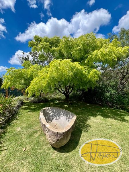 Casa à venda em Vale das Videiras, Petrópolis - RJ - Foto 13