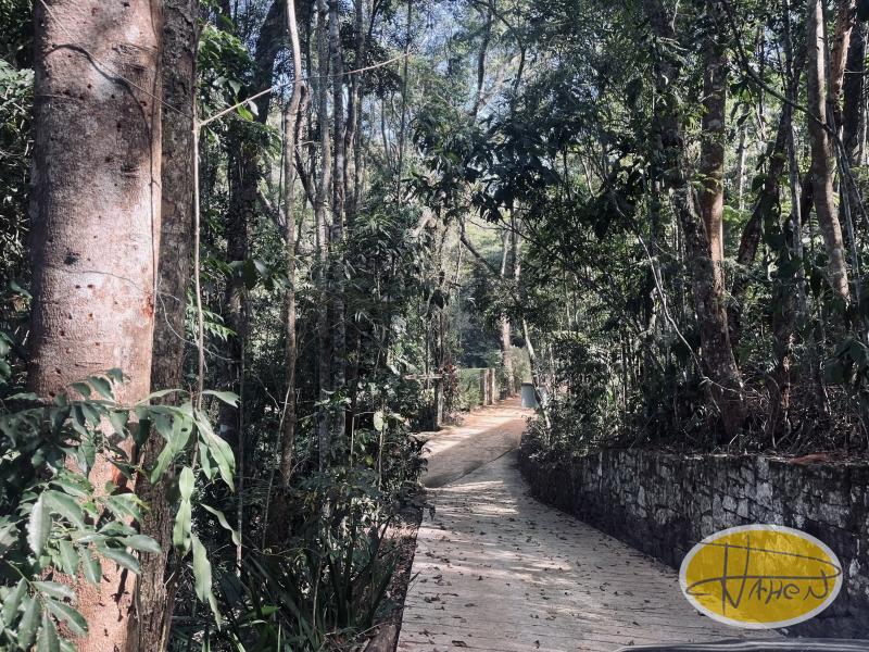 Casa à venda em Araras, Petrópolis - RJ - Foto 21