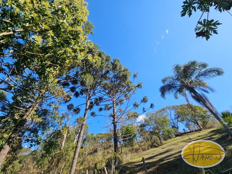 Fazenda / Sítio à venda em Vale das Videiras, Petrópolis - RJ - Foto 21