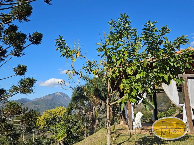 Fazenda / Sítio à venda em Vale das Videiras, Petrópolis - RJ - Foto 19
