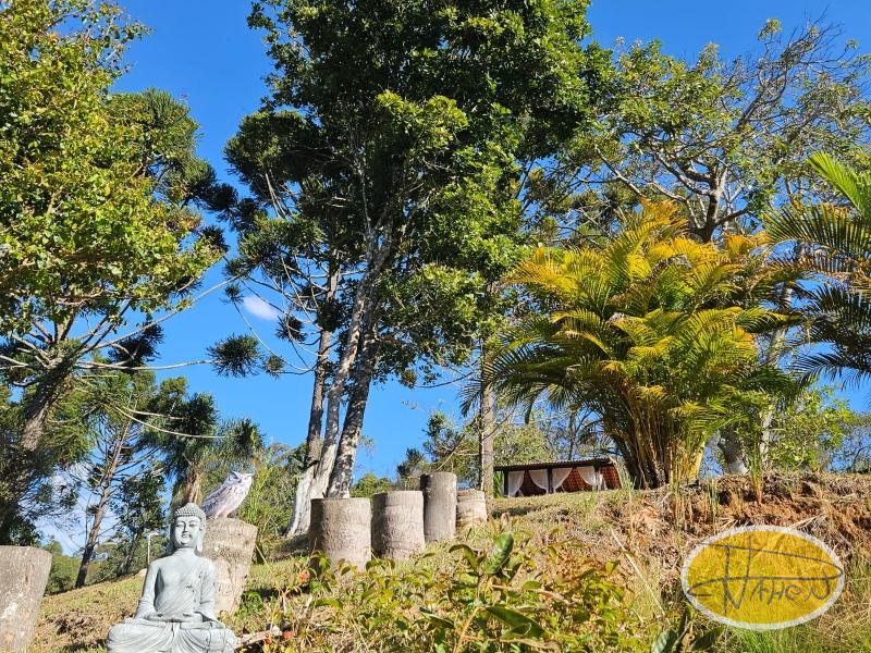 Fazenda / Sítio à venda em Vale das Videiras, Petrópolis - RJ - Foto 4