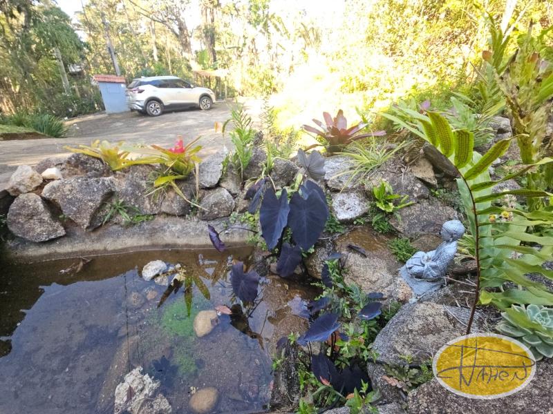 Fazenda / Sítio à venda em Vale das Videiras, Petrópolis - RJ - Foto 3