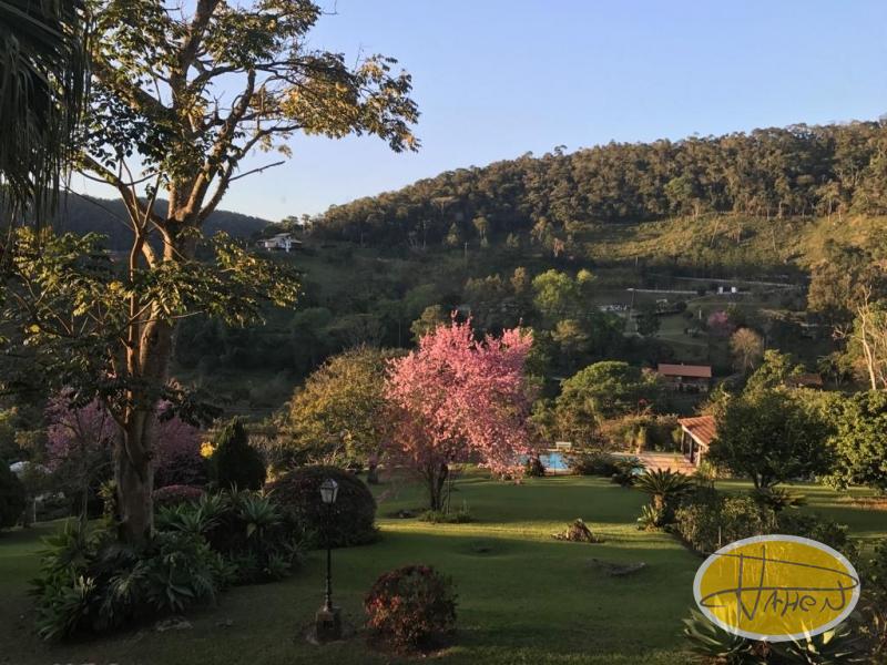 Fazenda / Sítio à venda em Vale das Videiras, Petrópolis - RJ - Foto 19
