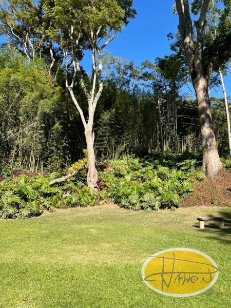 Terreno Residencial à venda em Itaipava, Petrópolis - RJ - Foto 32