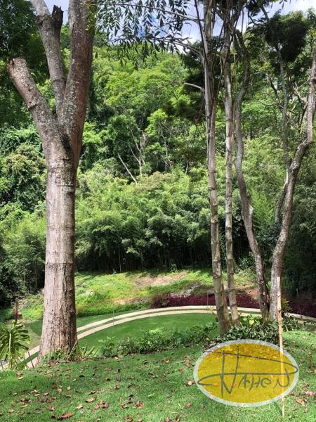 Terreno Residencial à venda em Itaipava, Petrópolis - RJ - Foto 30