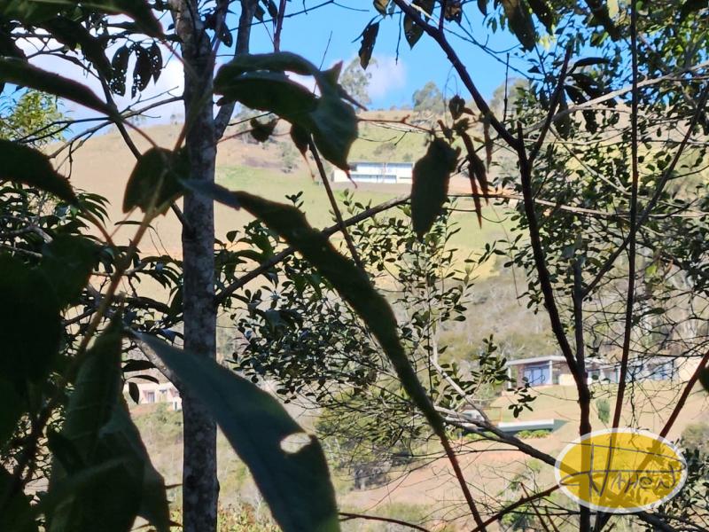 Casa à venda em Vale das Videiras, Petrópolis - RJ - Foto 2