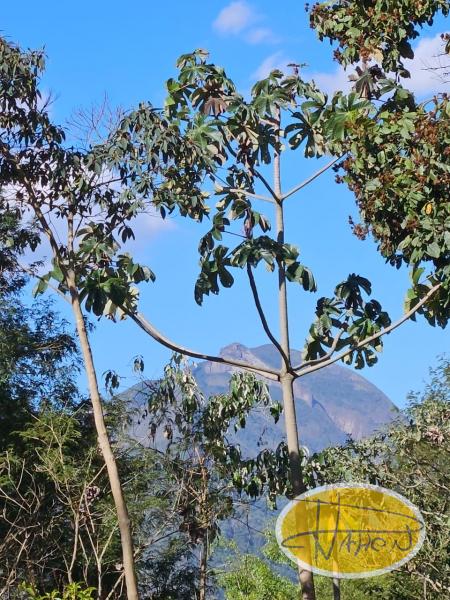 Casa à venda em Vale das Videiras, Petrópolis - RJ - Foto 5