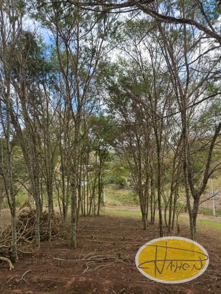 Casa à venda em Vale das Videiras, Petrópolis - RJ - Foto 21