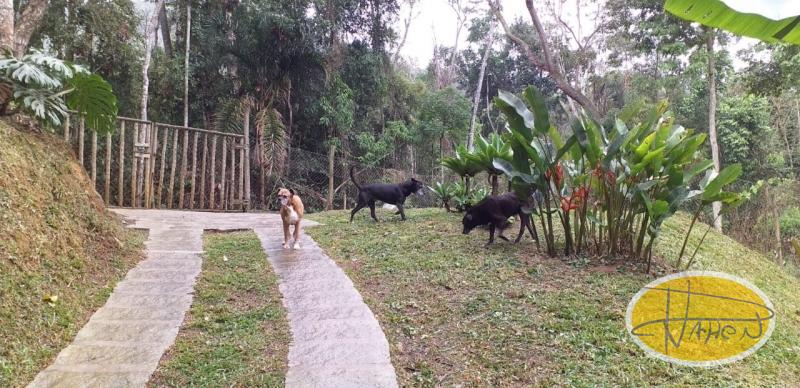 Casa à venda em Araras, Petrópolis - RJ - Foto 15