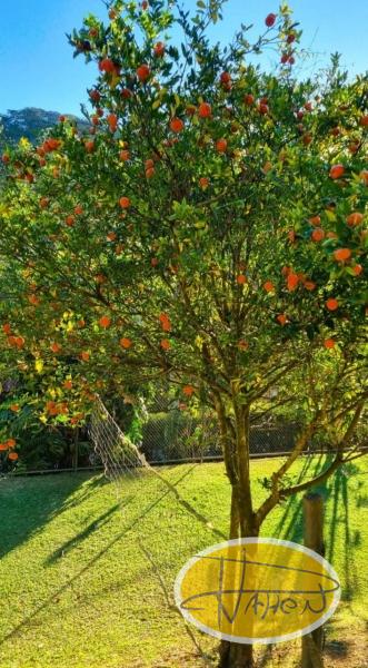 Casa à venda em Vale das Videiras, Petrópolis - RJ - Foto 13