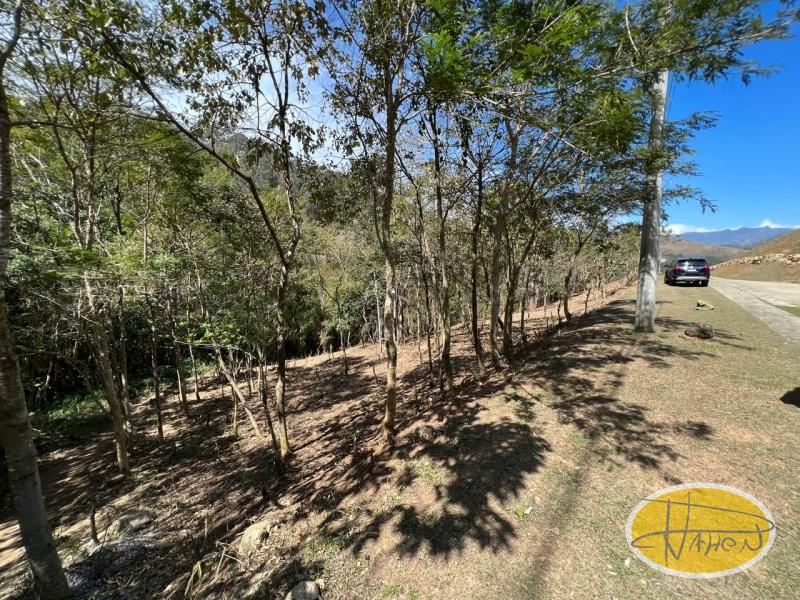 Terreno Residencial à venda em Araras, Petrópolis - RJ - Foto 2