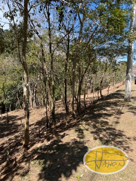 Terreno Residencial à venda em Araras, Petrópolis - RJ - Foto 3