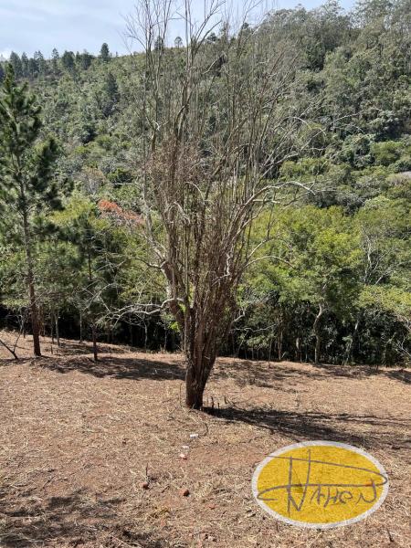 Terreno Residencial à venda em Araras, Petrópolis - RJ - Foto 4