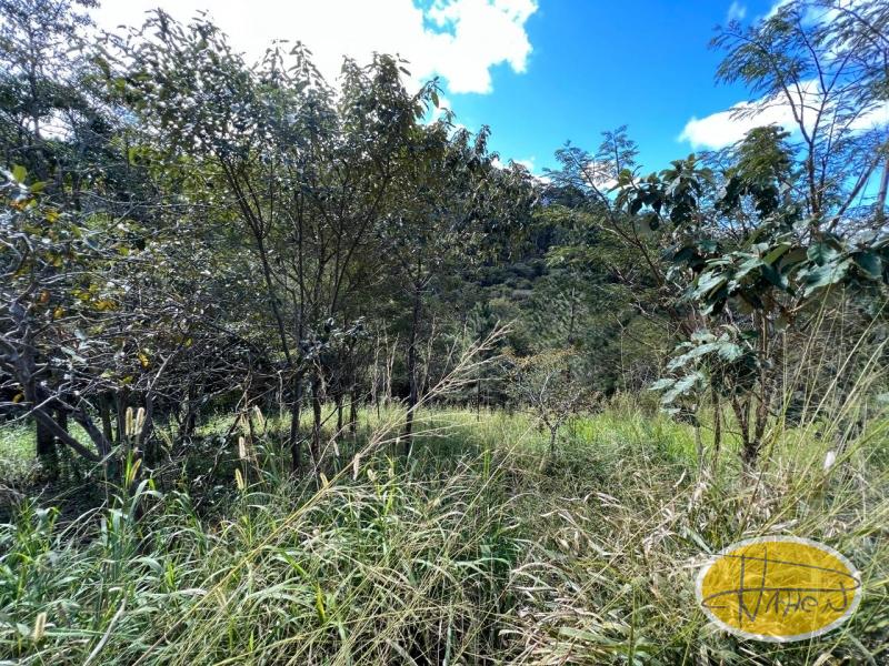 Terreno Residencial à venda em Araras, Petrópolis - RJ - Foto 7