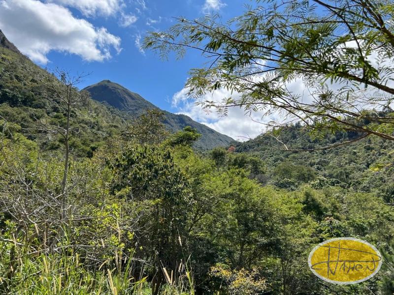 Terreno Residencial à venda em Araras, Petrópolis - RJ - Foto 8