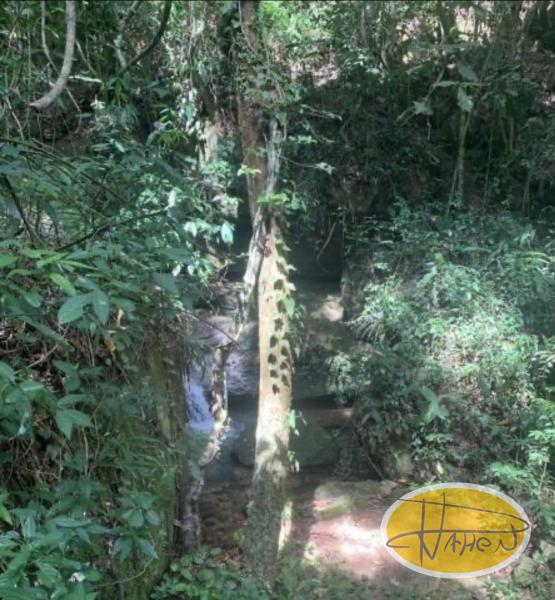 Terreno Residencial à venda em Araras, Petrópolis - RJ - Foto 10