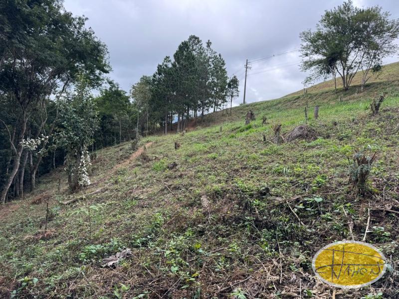 Terreno Residencial à venda em Araras, Petrópolis - RJ - Foto 2
