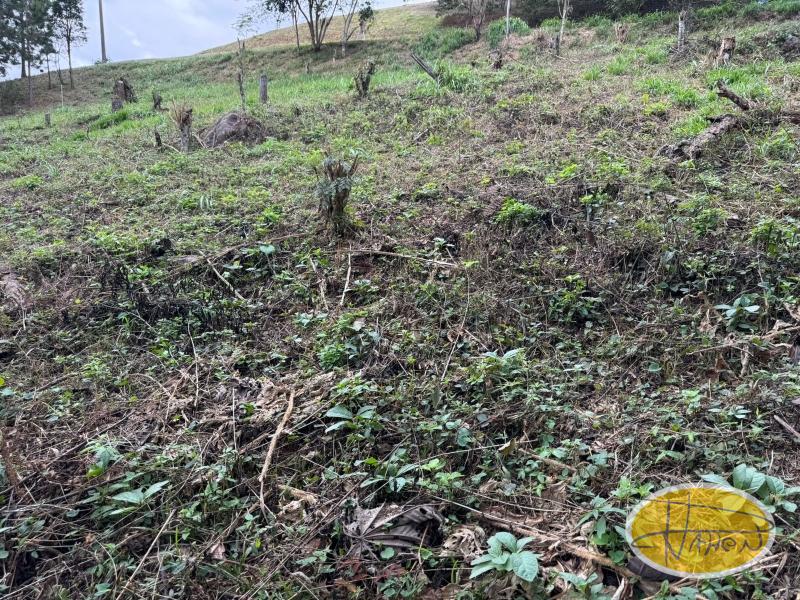 Terreno Residencial à venda em Araras, Petrópolis - RJ - Foto 10