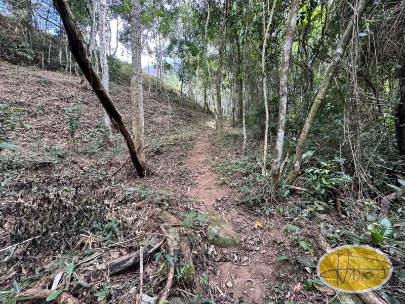 Terreno Residencial à venda em Araras, Petrópolis - RJ - Foto 9