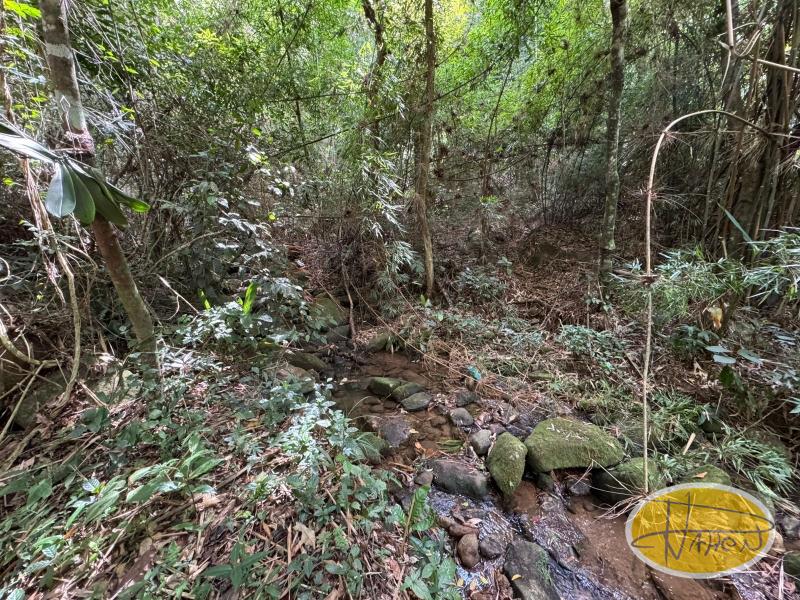 Terreno Residencial à venda em Araras, Petrópolis - RJ - Foto 8