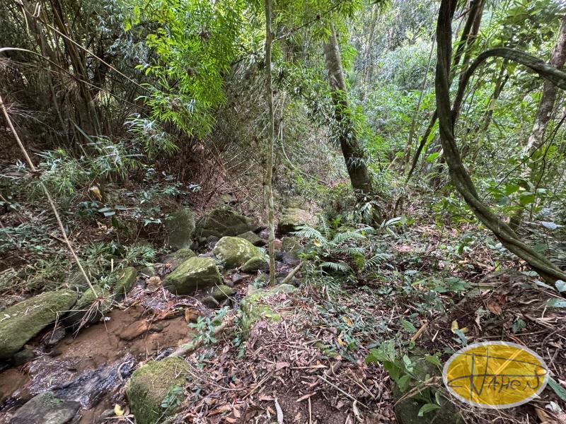 Terreno Residencial à venda em Araras, Petrópolis - RJ - Foto 7