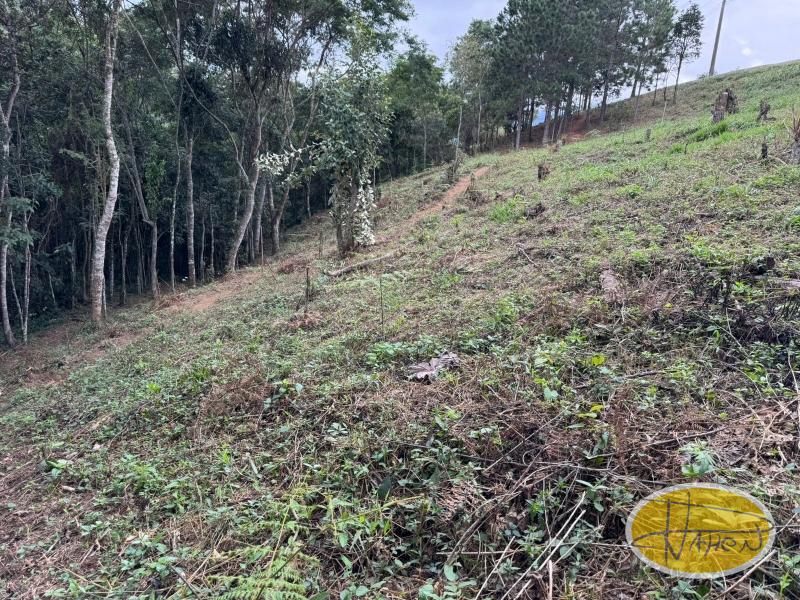 Terreno Residencial à venda em Araras, Petrópolis - RJ - Foto 6
