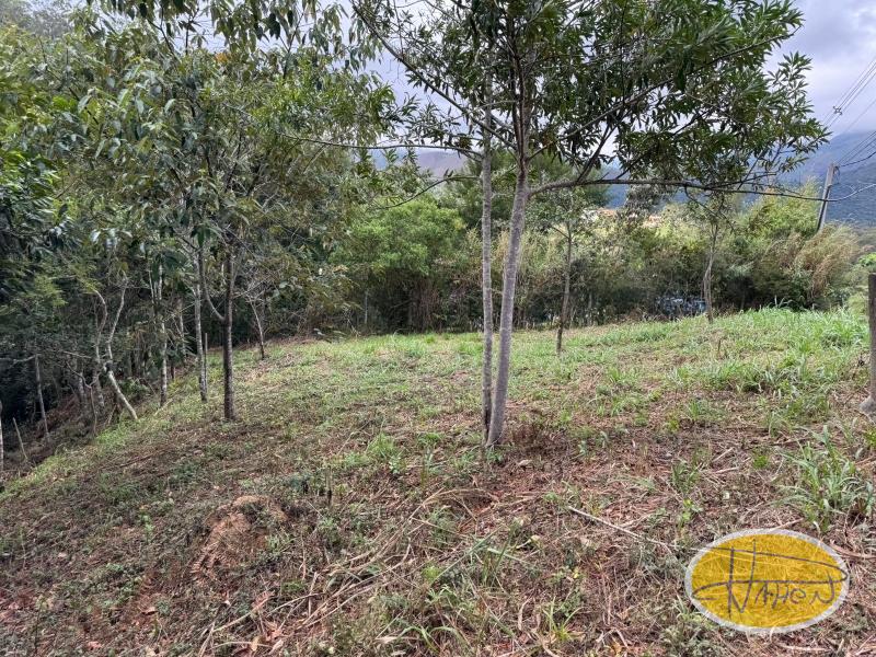 Terreno Residencial à venda em Araras, Petrópolis - RJ - Foto 5