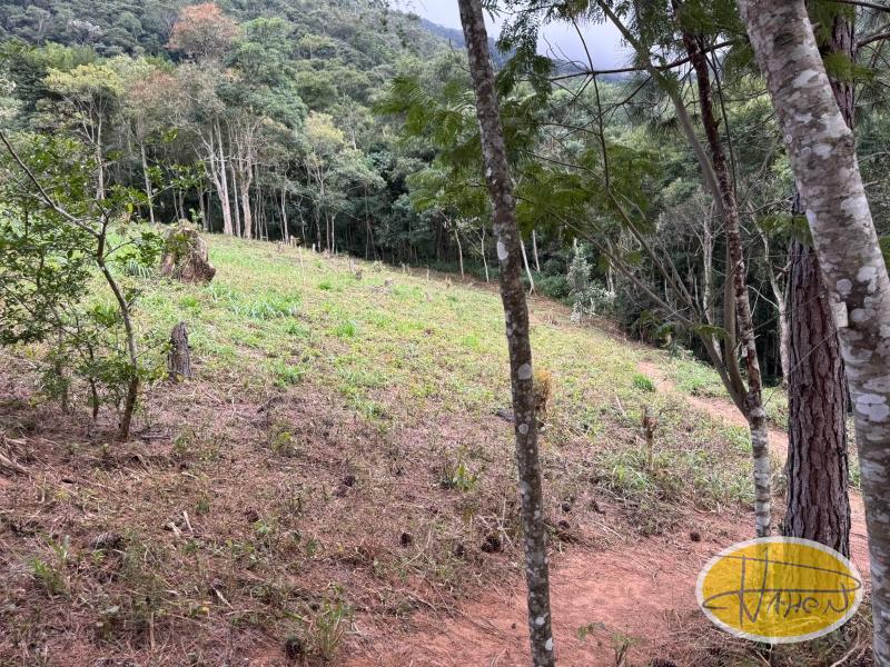 Terreno Residencial à venda em Araras, Petrópolis - RJ - Foto 4
