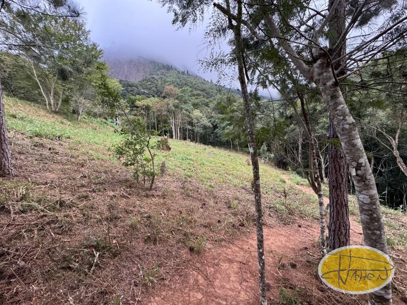 Terreno Residencial à venda em Araras, Petrópolis - RJ - Foto 3