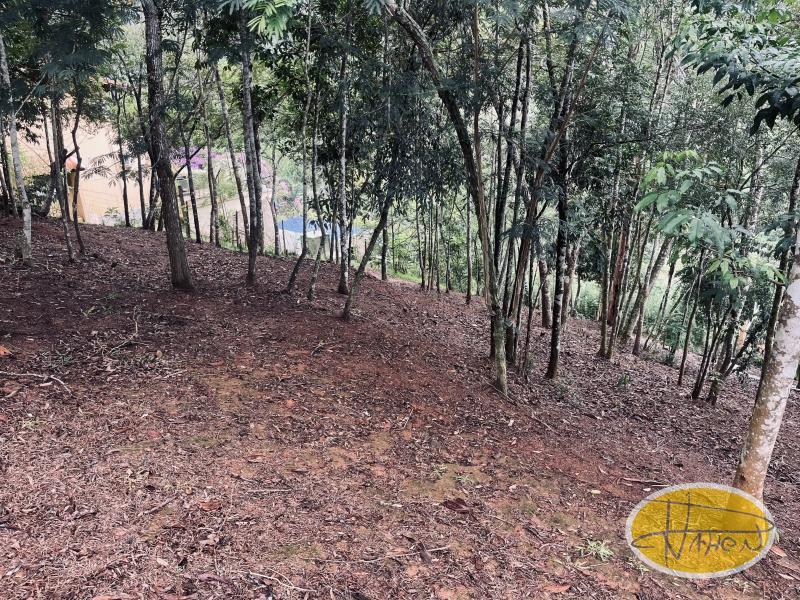 Terreno Residencial à venda em Itaipava, Petrópolis - RJ - Foto 6