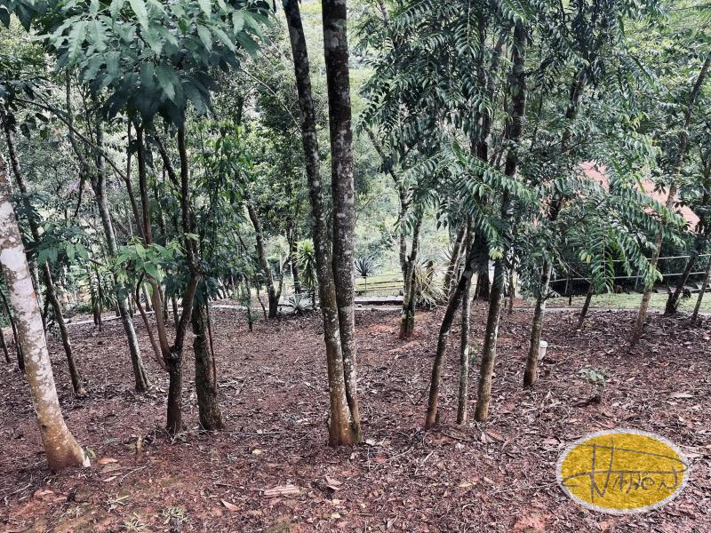 Terreno Residencial à venda em Itaipava, Petrópolis - RJ - Foto 7