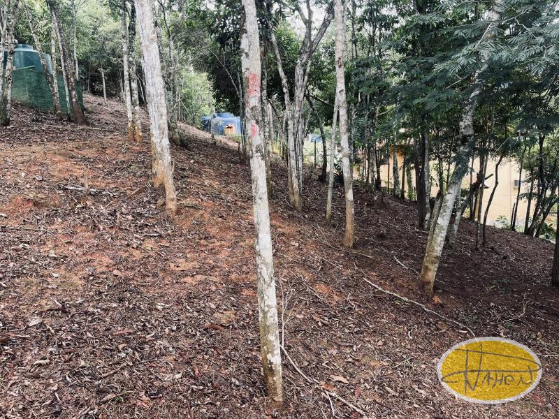 Terreno Residencial à venda em Itaipava, Petrópolis - RJ - Foto 8