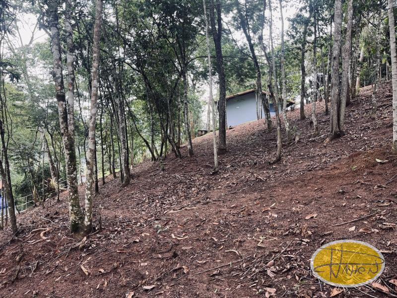 Terreno Residencial à venda em Itaipava, Petrópolis - RJ - Foto 14