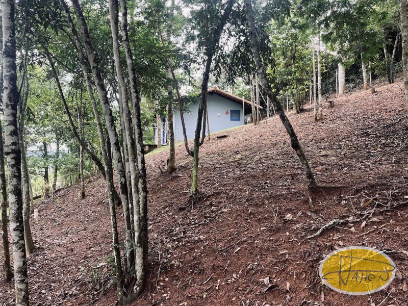 Terreno Residencial à venda em Itaipava, Petrópolis - RJ - Foto 15