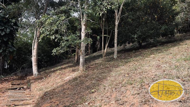 Terreno Residencial à venda em Itaipava, Petrópolis - RJ - Foto 3