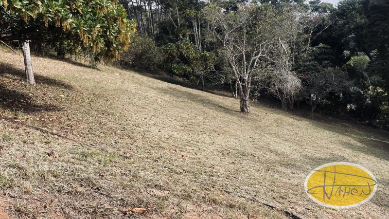 Terreno Residencial à venda em Itaipava, Petrópolis - RJ - Foto 6