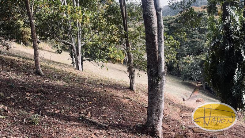 Terreno Residencial à venda em Itaipava, Petrópolis - RJ - Foto 7