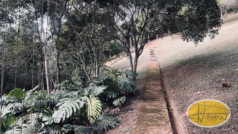 Terreno Residencial à venda em Itaipava, Petrópolis - RJ - Foto 8