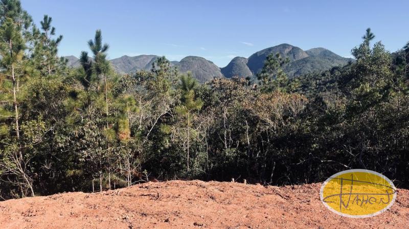 Terreno Residencial à venda em Araras, Petrópolis - RJ - Foto 4