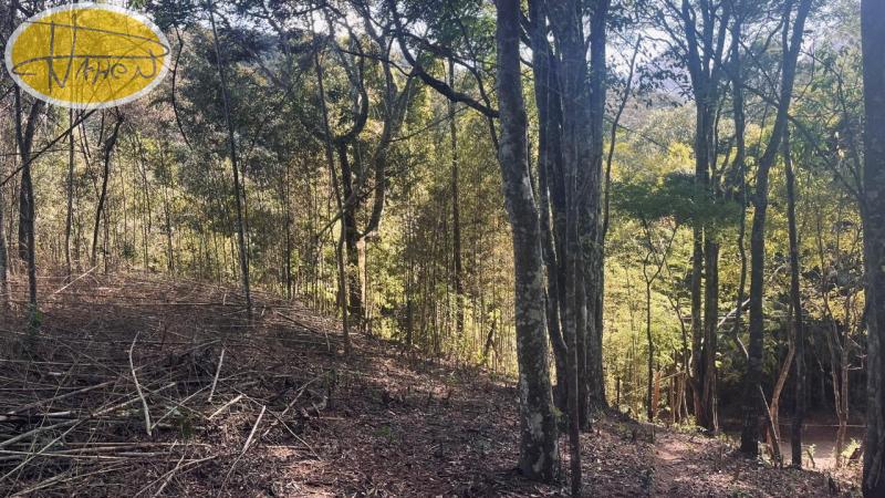 Terreno Residencial à venda em Araras, Petrópolis - RJ - Foto 2