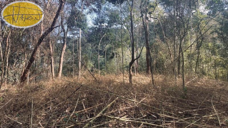 Terreno Residencial à venda em Araras, Petrópolis - RJ - Foto 3