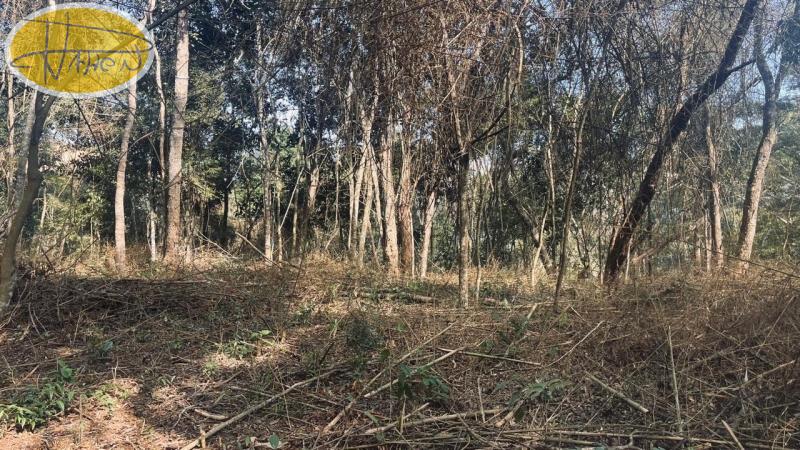 Terreno Residencial à venda em Araras, Petrópolis - RJ - Foto 4