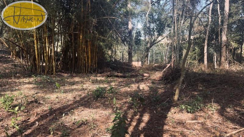 Terreno Residencial à venda em Araras, Petrópolis - RJ - Foto 5