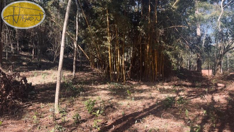 Terreno Residencial à venda em Araras, Petrópolis - RJ - Foto 6