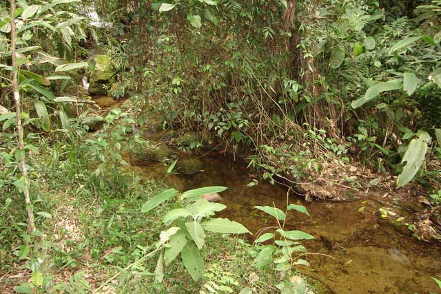 Casa à venda em Araras, Petrópolis - RJ - Foto 20